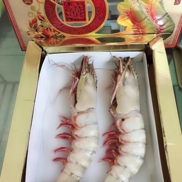 各种规格大虾