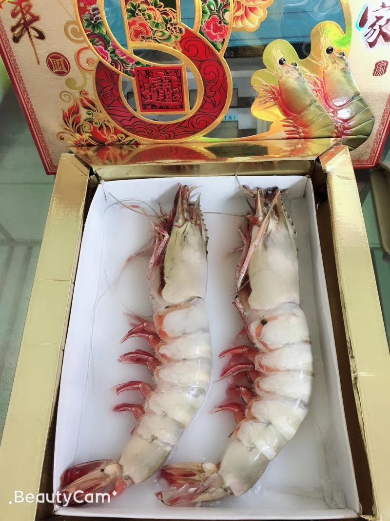 各种规格大虾