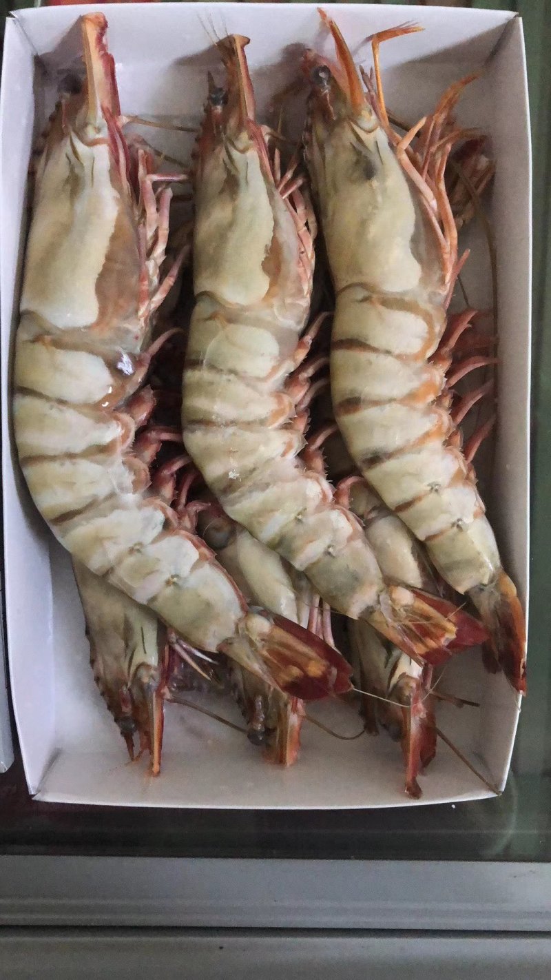 各种规格大虾