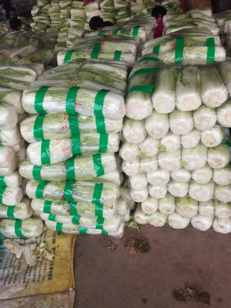 北京三号白菜4一6斤净菜每斤5分