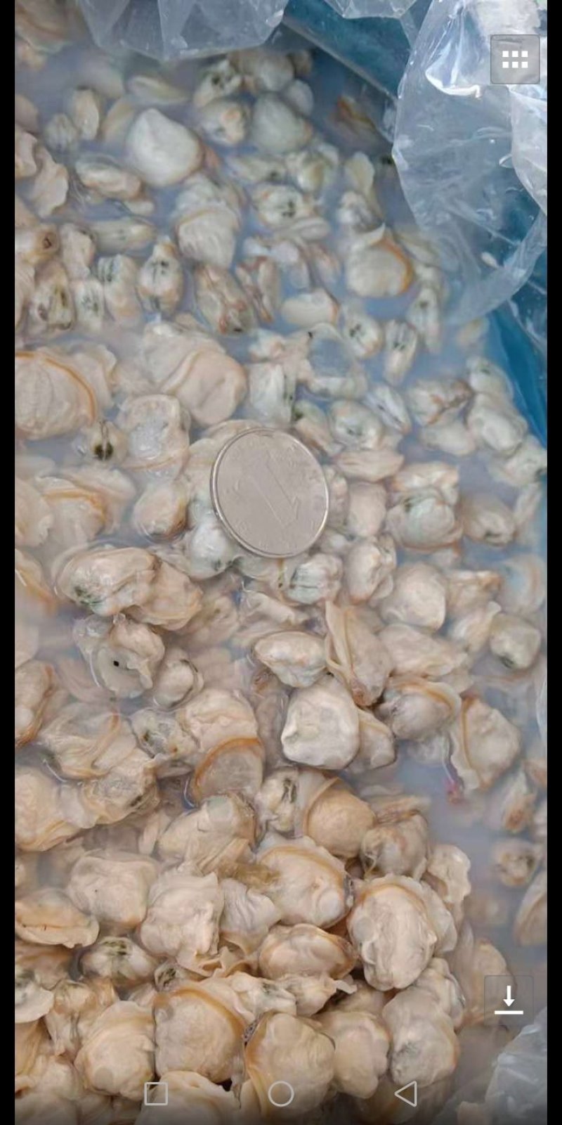 希吉米2000千多粒腌吉