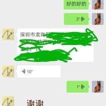 深圳朋友订购马犬一只