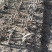 映山红绿化工程桩国旗红下山桩批发