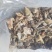 大别山野生五倍子，自产自销，野生货数量有限。