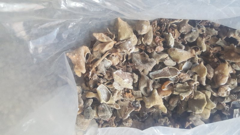 大别山野生五倍子，自产自销，野生货数量有限。