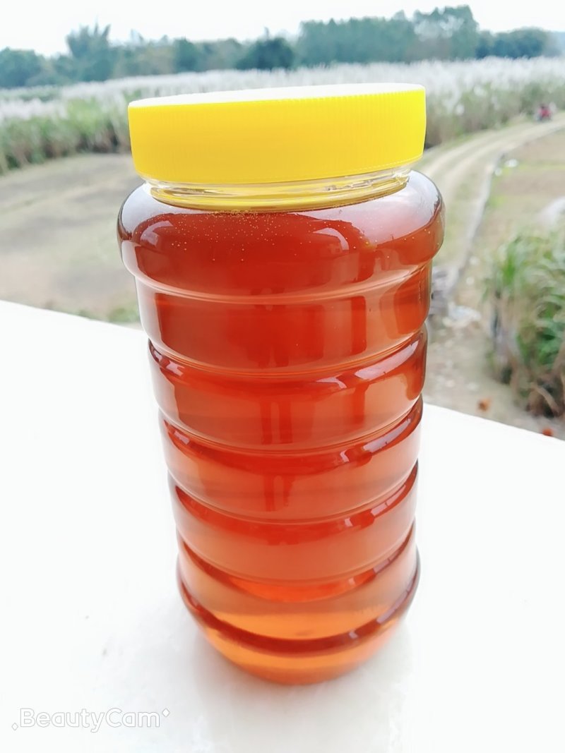 蜂蜜农家自养蜂蜜正品