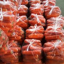 优质胡萝卜供应全国各大市场各大电商一手货源大量供应