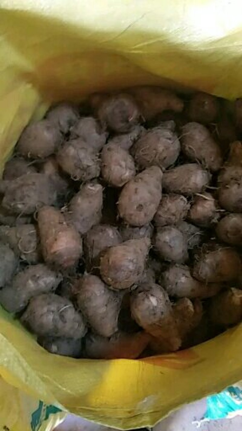 【推荐】精品红芽芋，产自高山红土，，口感香糯，价廉物美