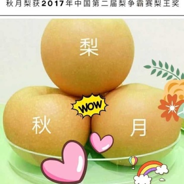 秋月梨纸箱300~350g
