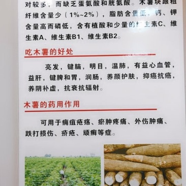 木薯在等你们来尝试