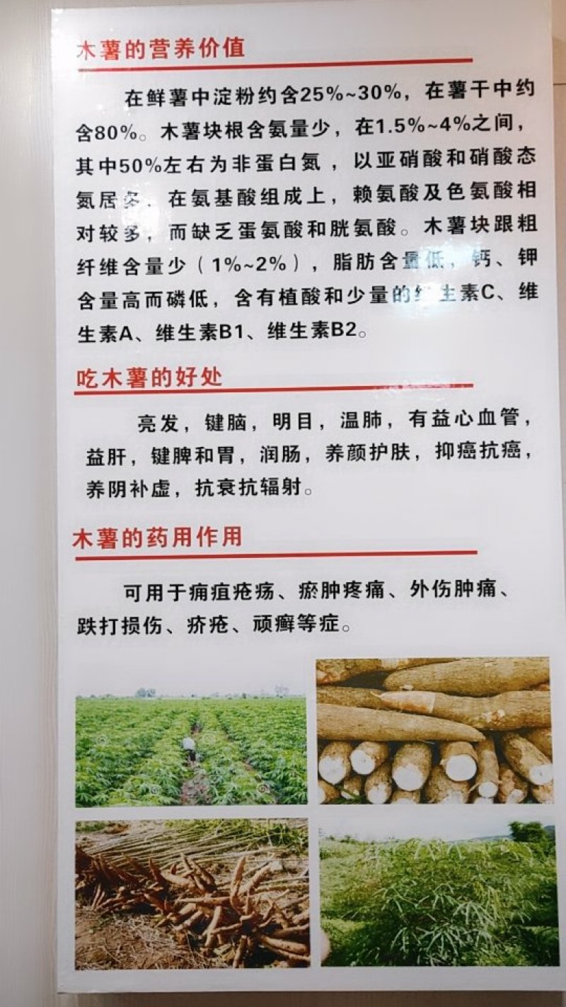 木薯在等你们来尝试