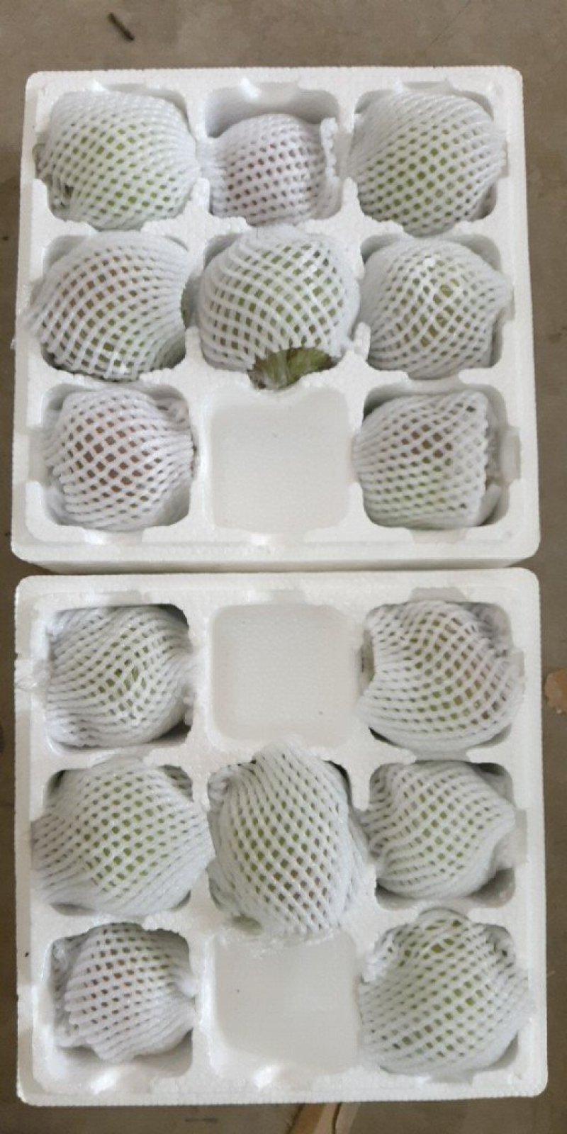 新鲜水果玉露香梨赵县特产果肉洁白细腻脆甜可口多汁果园直发