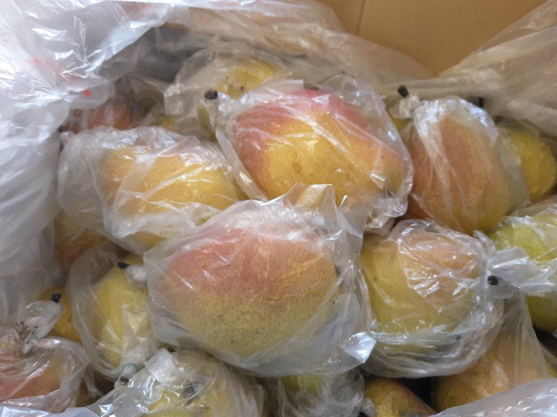 红香酥梨新鲜水果赵县特产