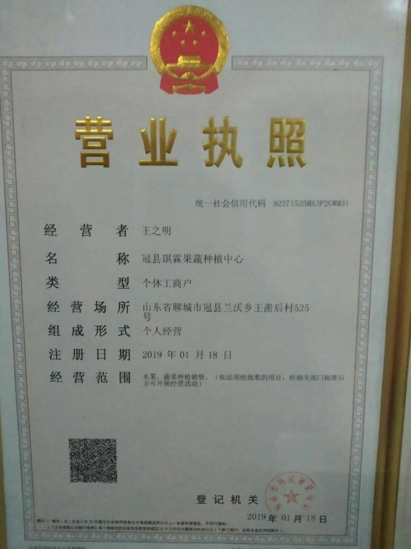 太空椒，圆椒，青椒，适合各大超市，市场，走货量很好