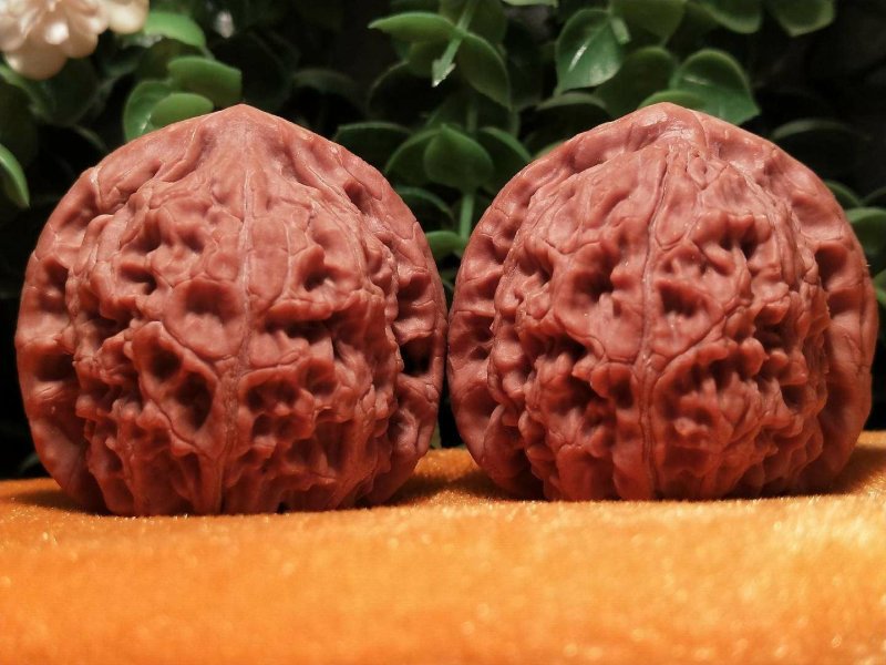 编号1050号精品水龙纹狮子头，边40-40肚40-4