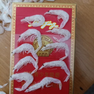 一级虾皮特大虾皮