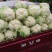 圆包八分芹菜六毛实花2毛5到3毛葱6毛5