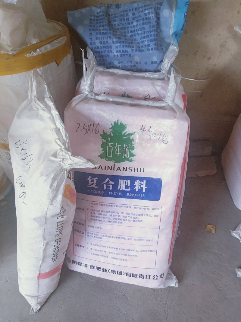 嫁接工人，嫁接西梅苗，嫁接桔子苗，嫁接桃苗，嫁接绑带