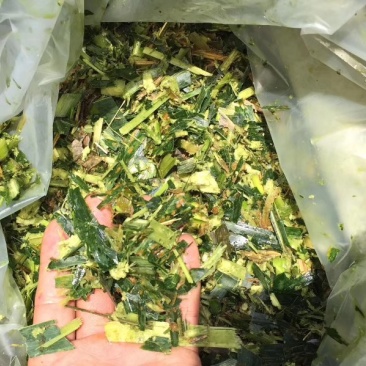 饲料