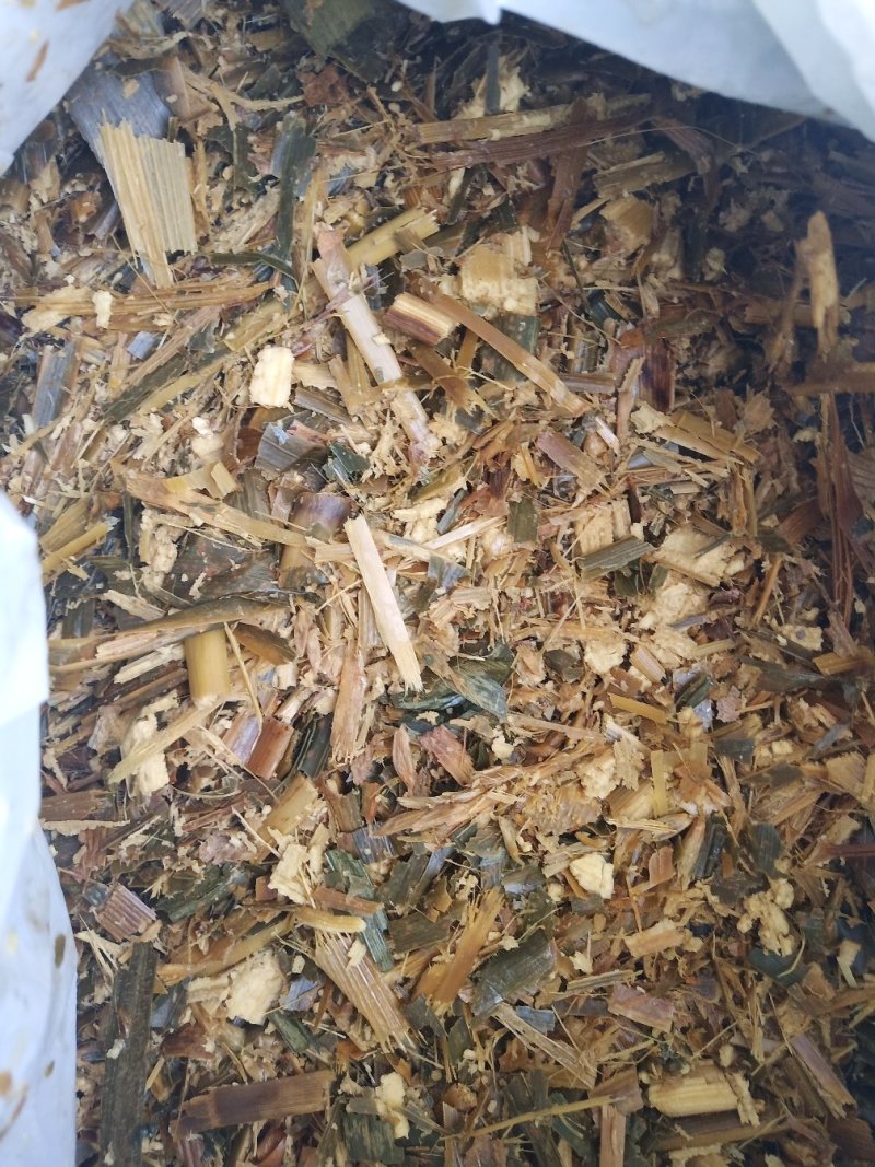 饲料