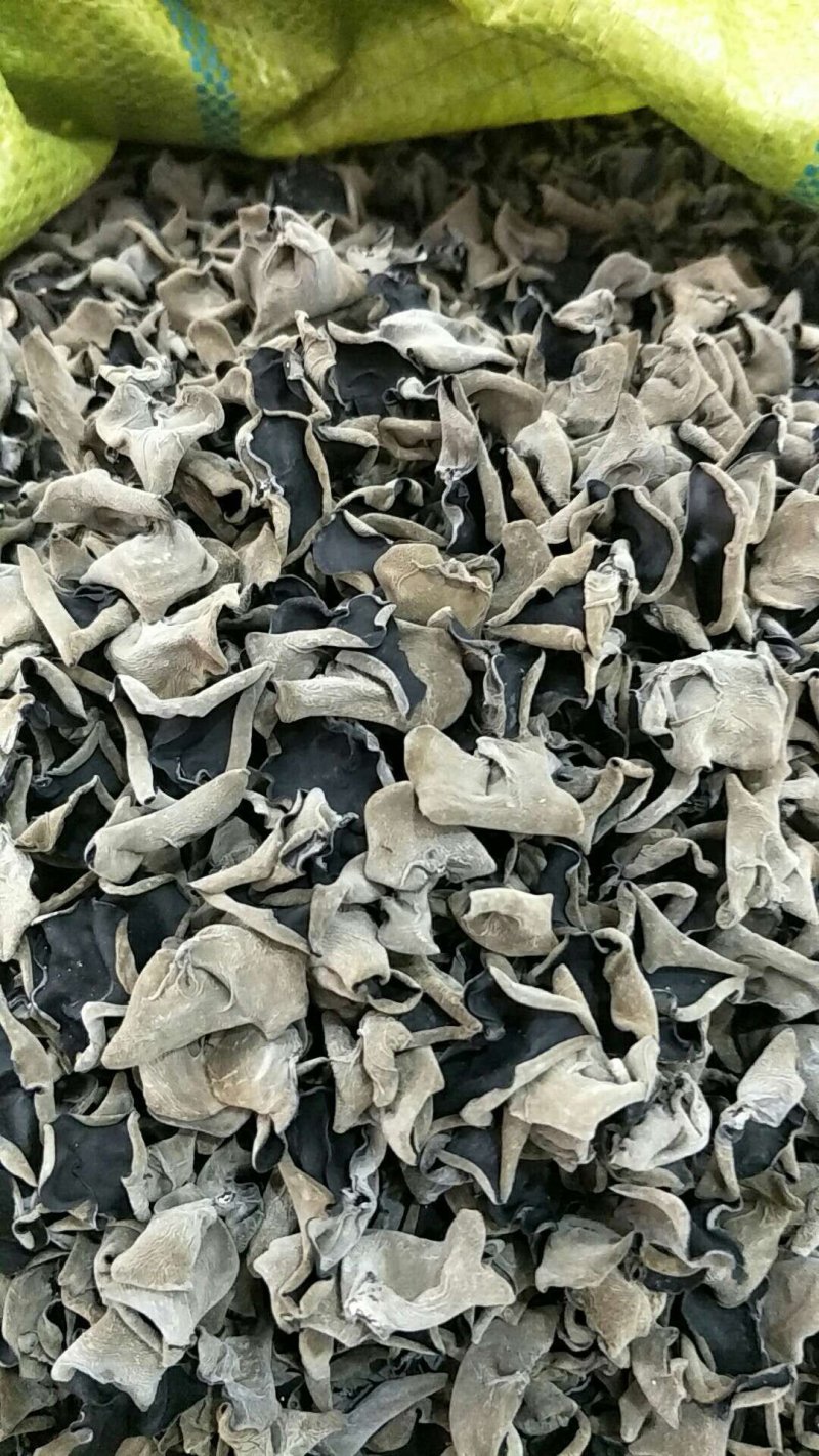 各种规格长白山木段木耳，秋耳。品质保证，放心选购