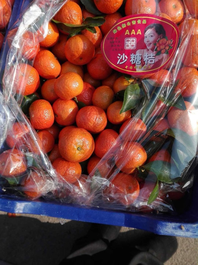 芦柑砂糖
