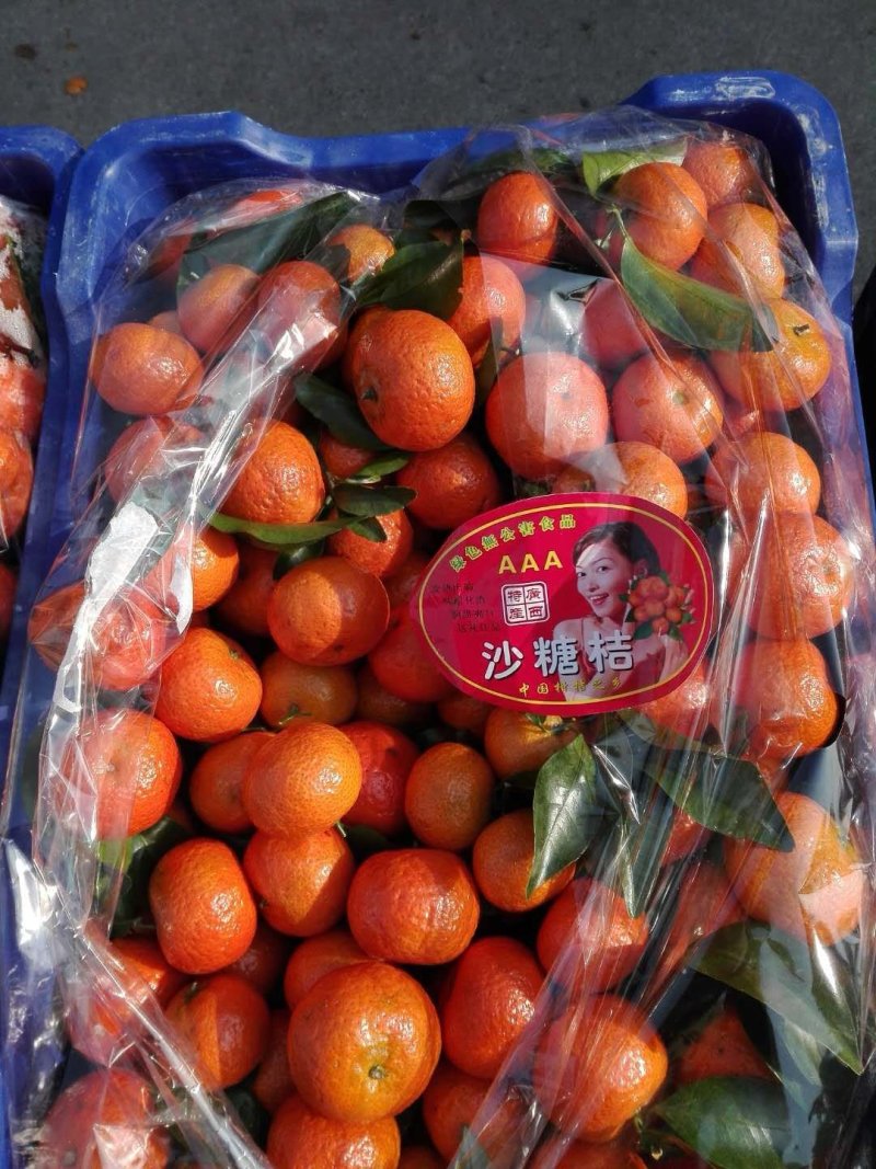 芦柑砂糖