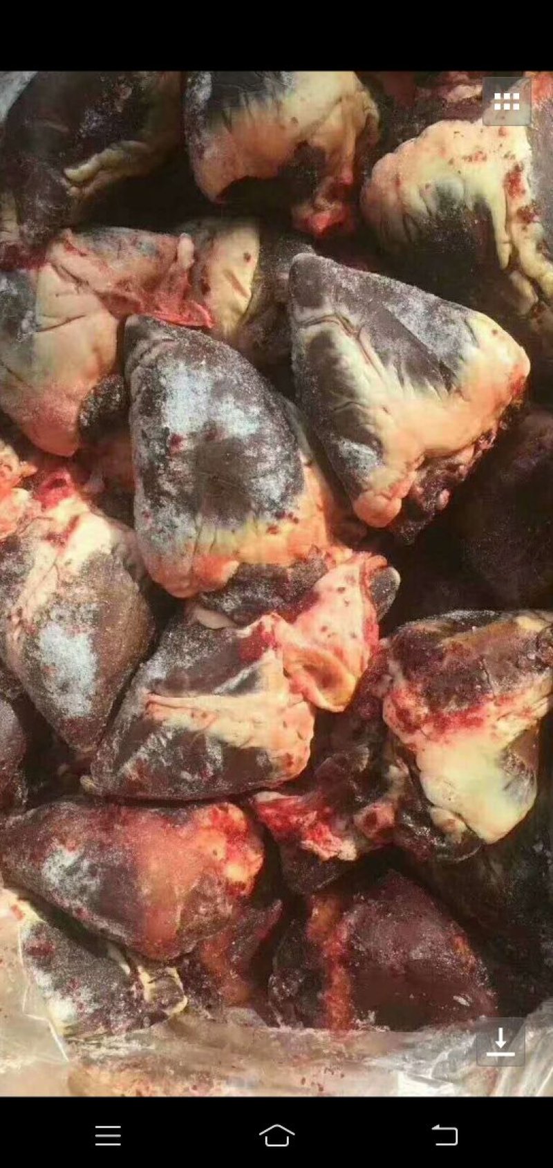 天上龙肉，地下驴肉