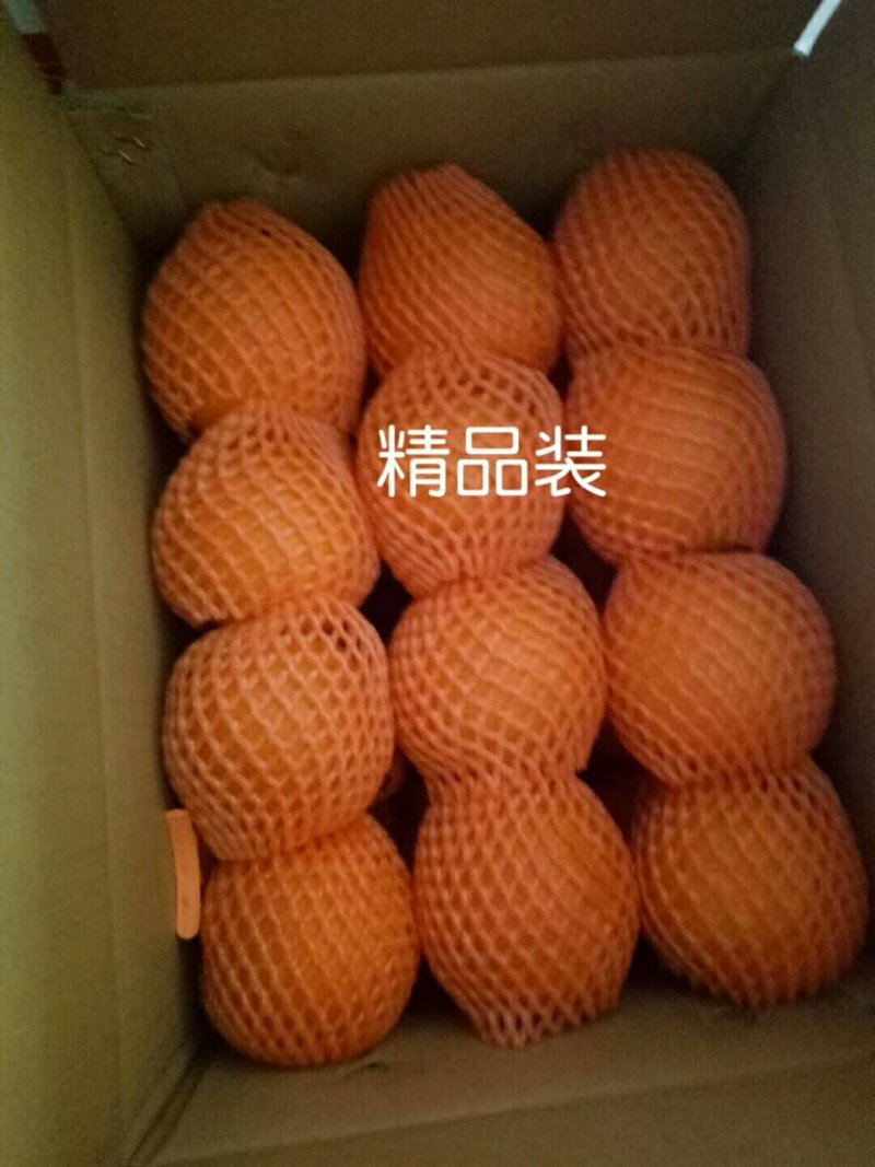 秭归脐橙之乡纽荷尔长红，圆红产地供货，代收
