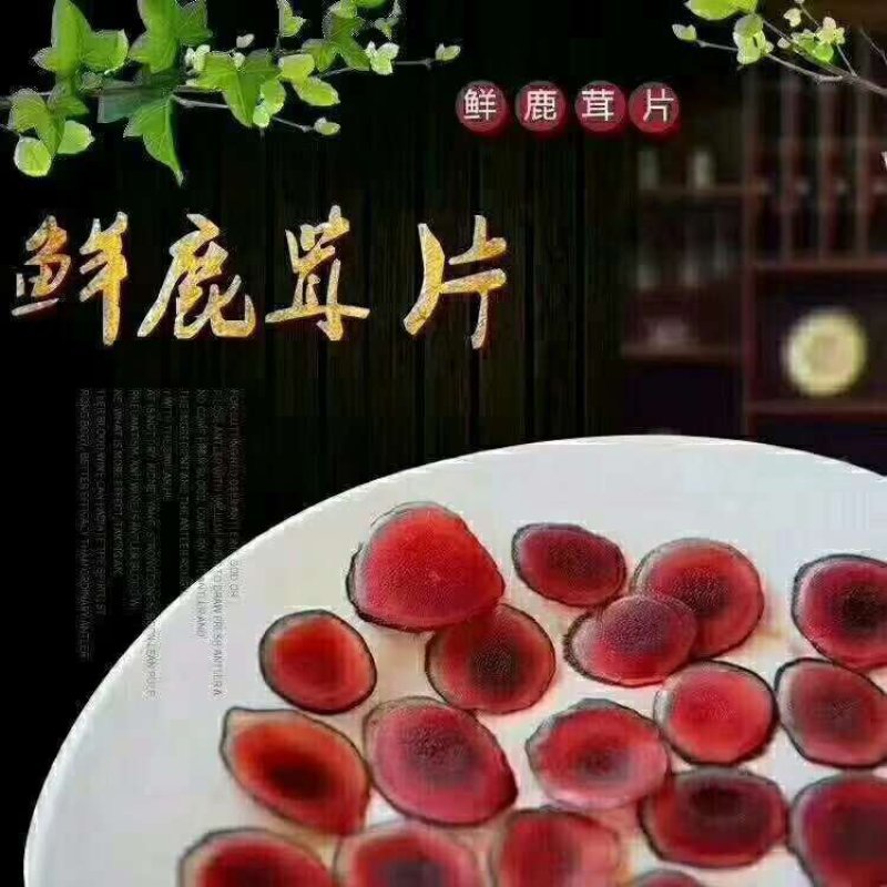 特别推荐，鲜鹿茸。各种规格连刀切，鹿茸片