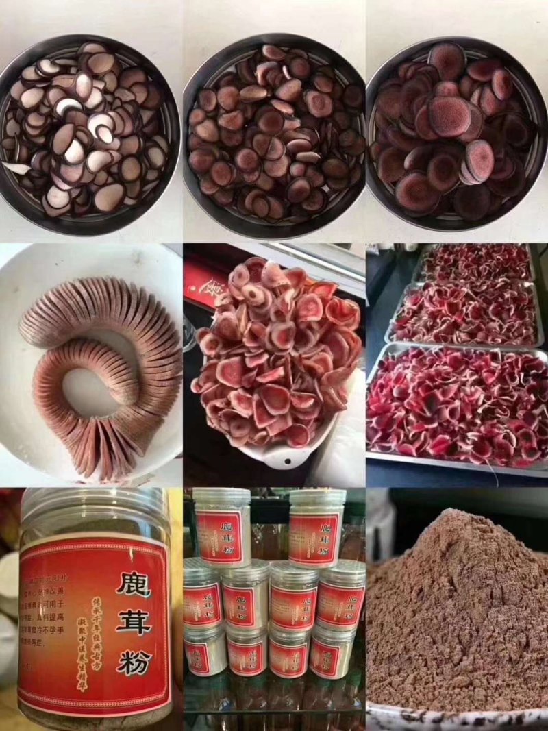 特别推荐，鲜鹿茸。各种规格连刀切，鹿茸片