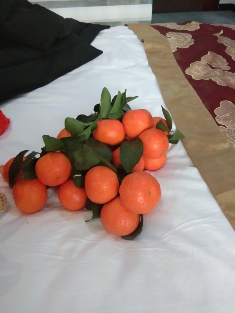 沙糖秸量大优惠