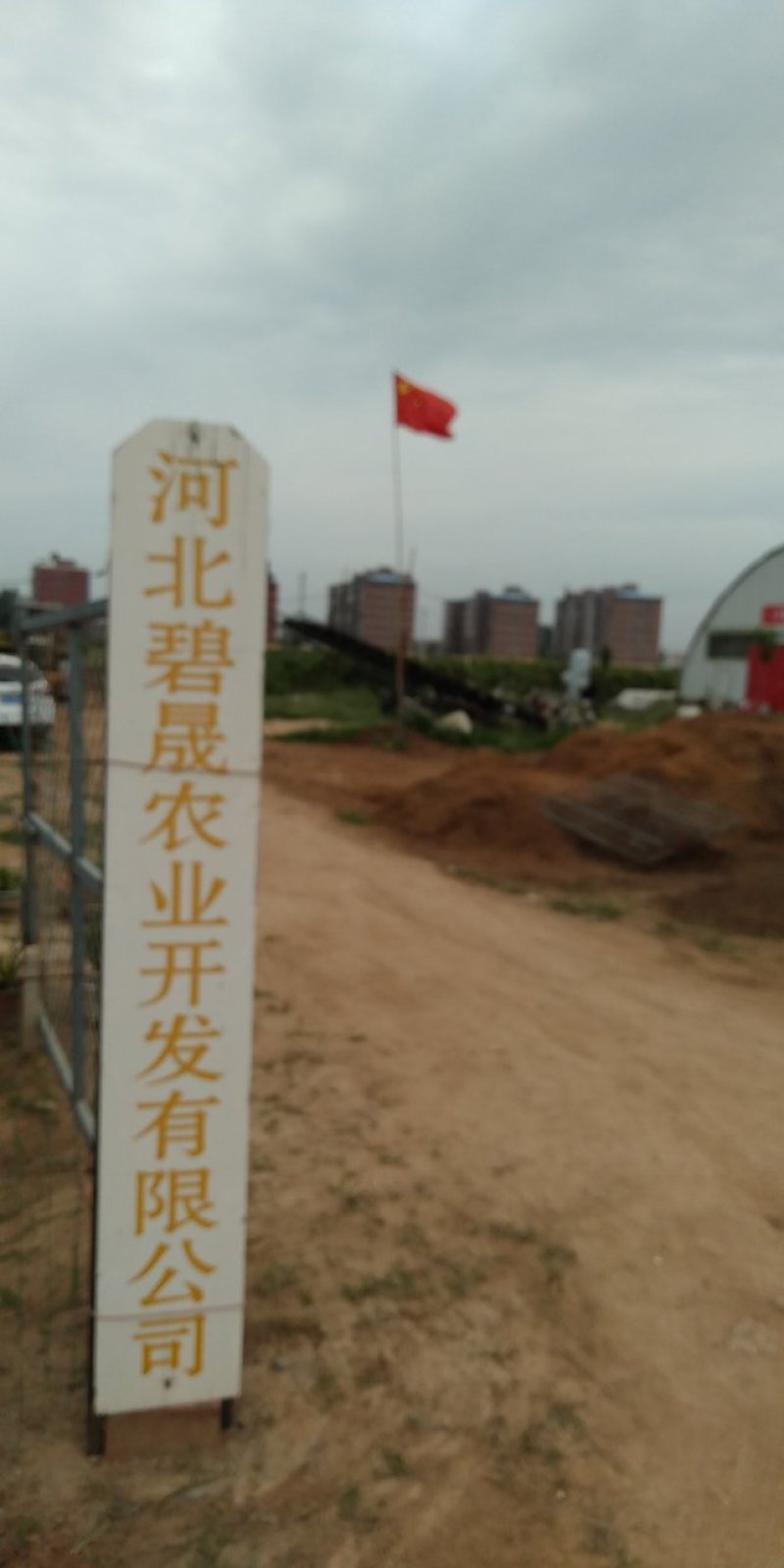 菌棒