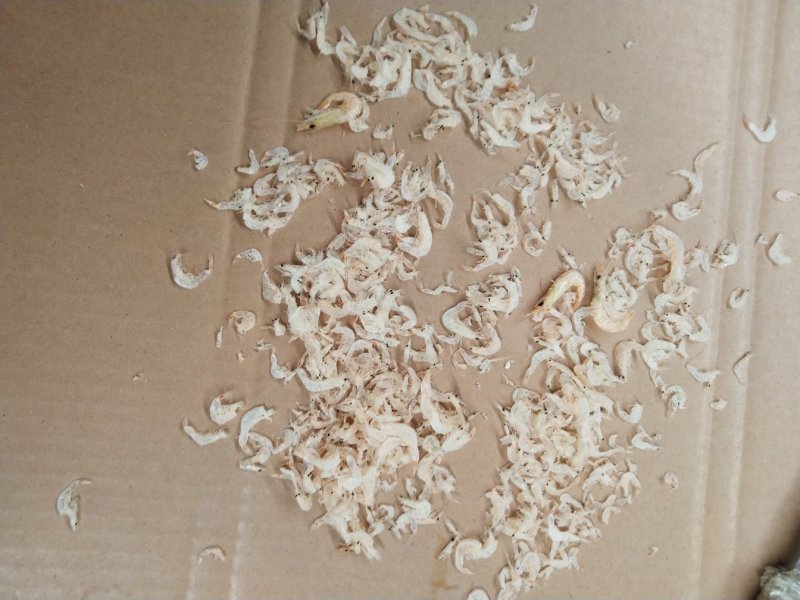 提供越南生产虾皮
