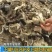 代买阿胶糕