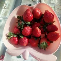 天然草莓