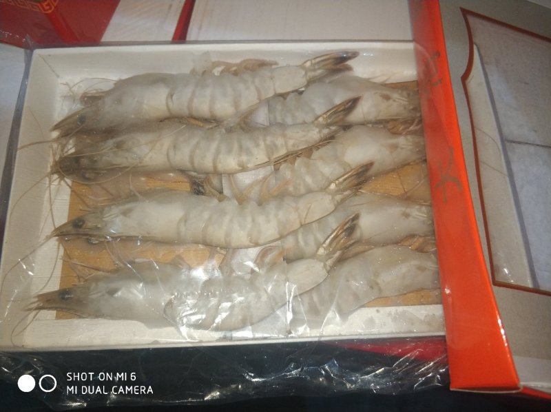 渤海湾对虾，四头，六头，八头礼盒