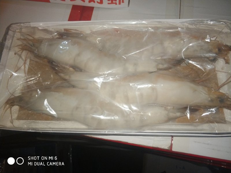渤海湾对虾，四头，六头，八头礼盒