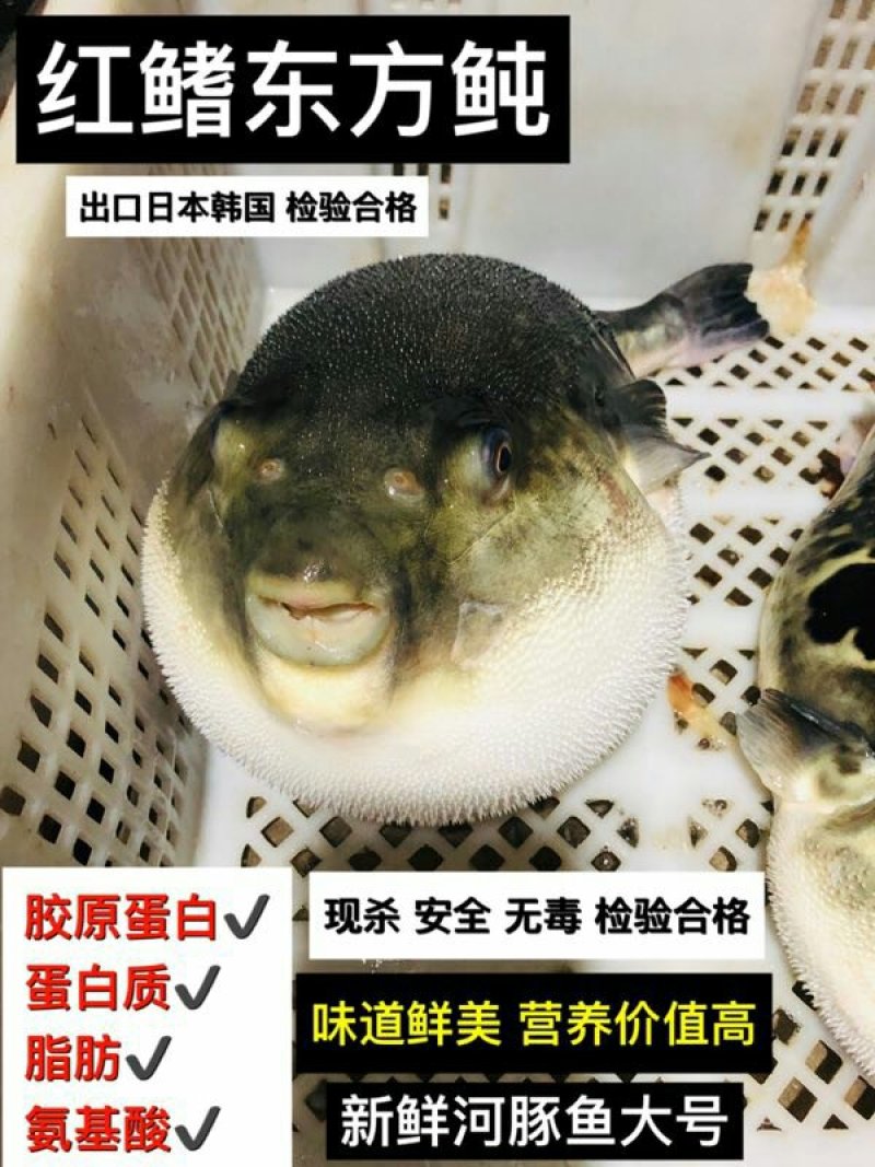 王氏水产