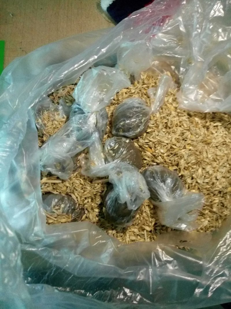 雄安新区白洋淀特产鸭蛋