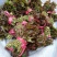 香椿芽15cm专业代发，快递，空运直达