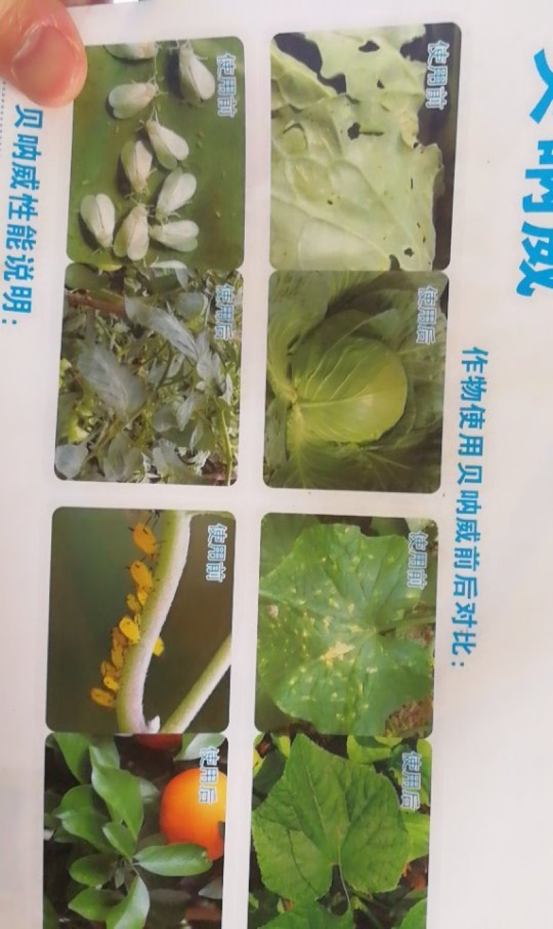 橙皮精油100克沾着渗透扩散助剂