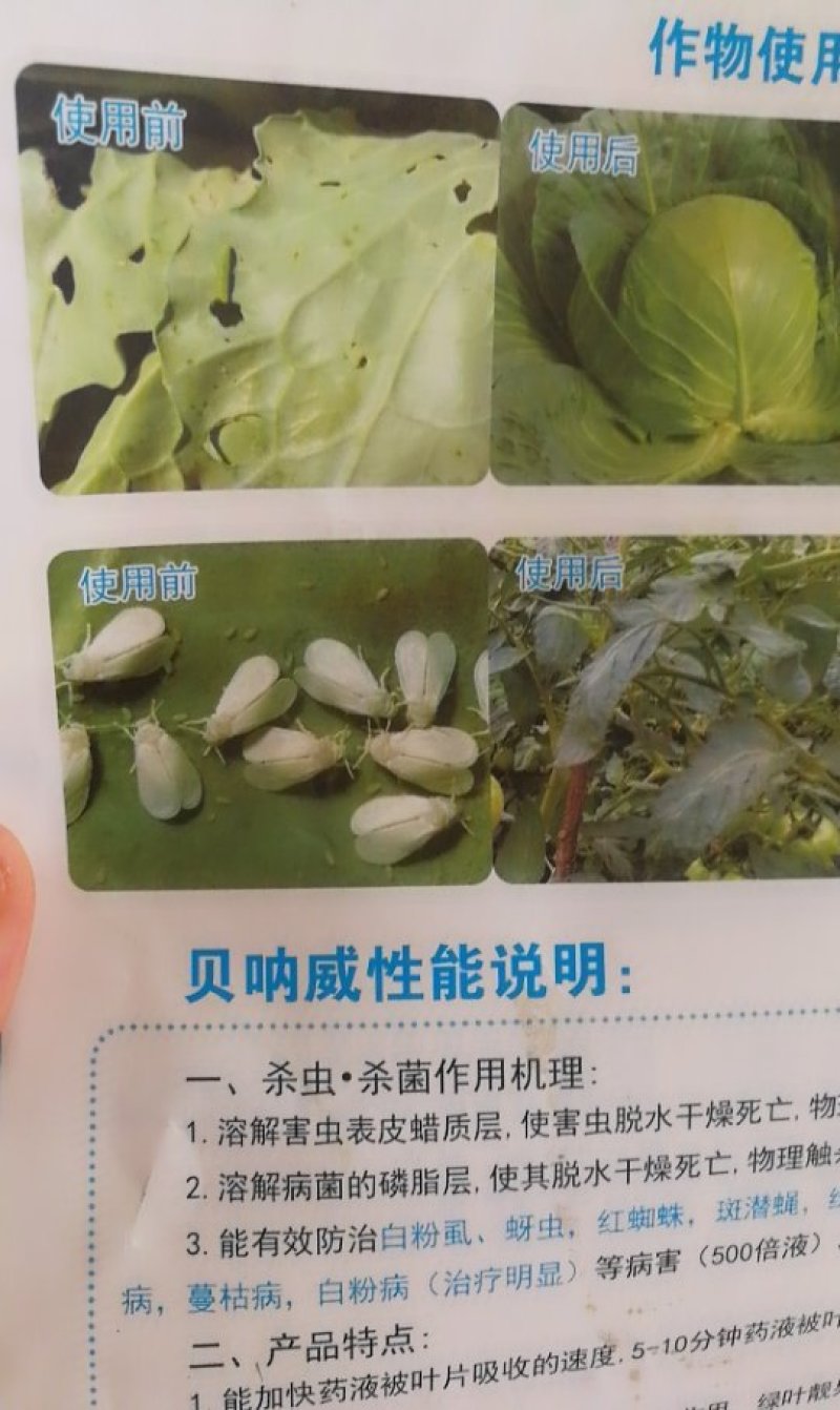 橙皮精油100克沾着渗透扩散助剂