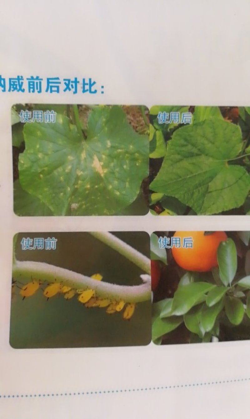 橙皮精油100克沾着渗透扩散助剂