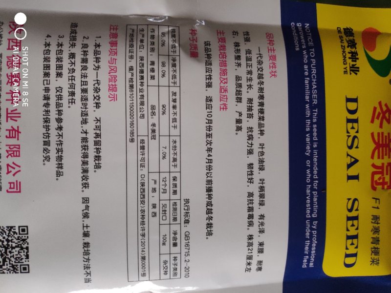 冬美冠青梗菜种子耐寒叶色油绿叶柄翠绿有光泽束腰