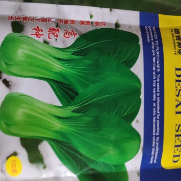 冬美冠青梗菜种子耐寒叶色油绿叶柄翠绿有光泽束腰