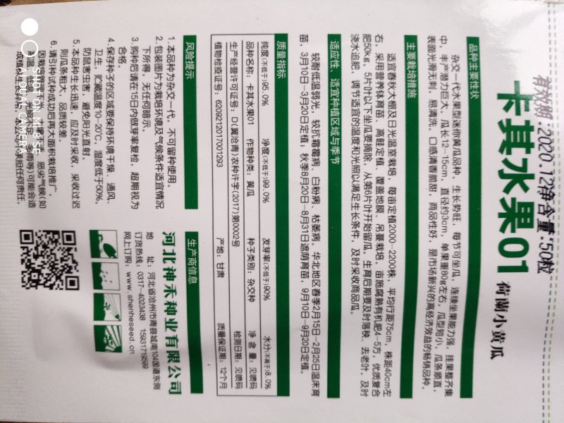 黄瓜种子何兰水果黄瓜种子