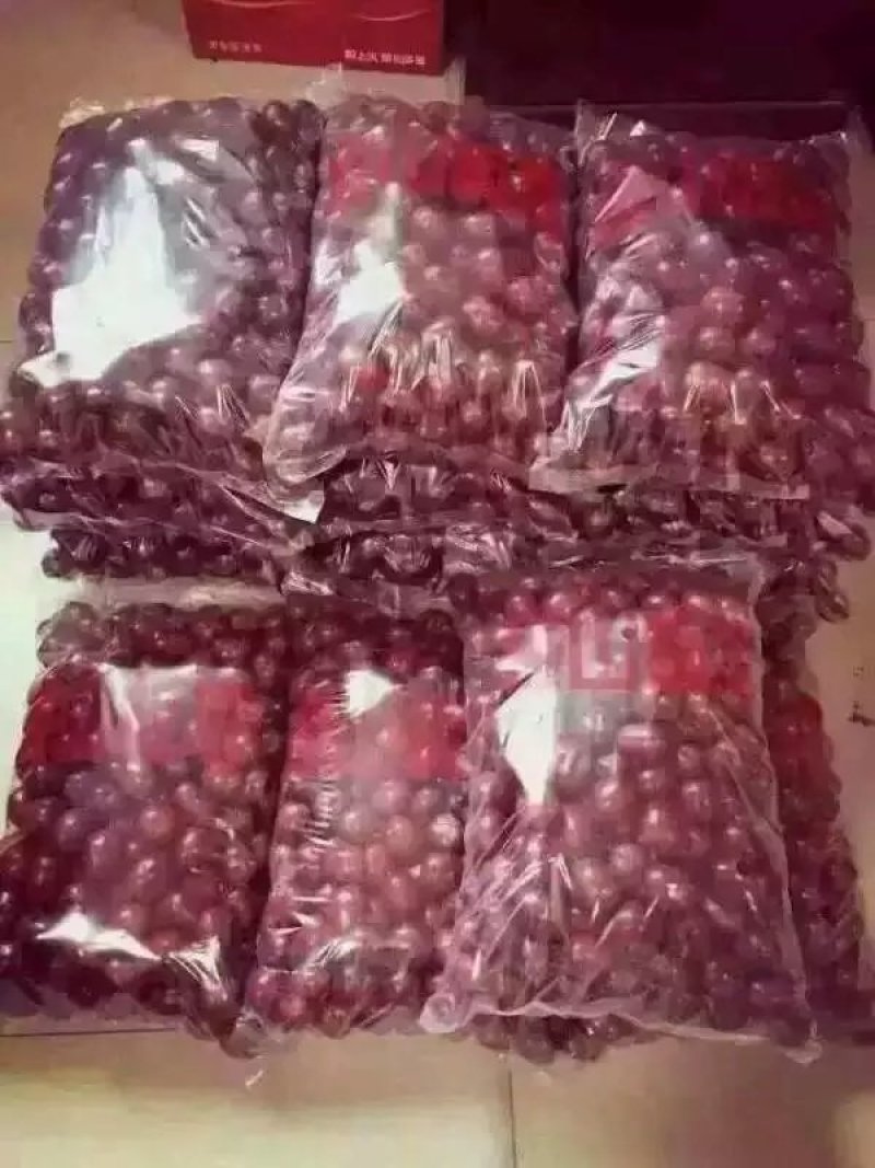 大圆枣，枣大核小，含糖量高，拜开拉丝