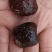 乐陵水晶蜜枣阿胶蜜枣以质论价量大优惠