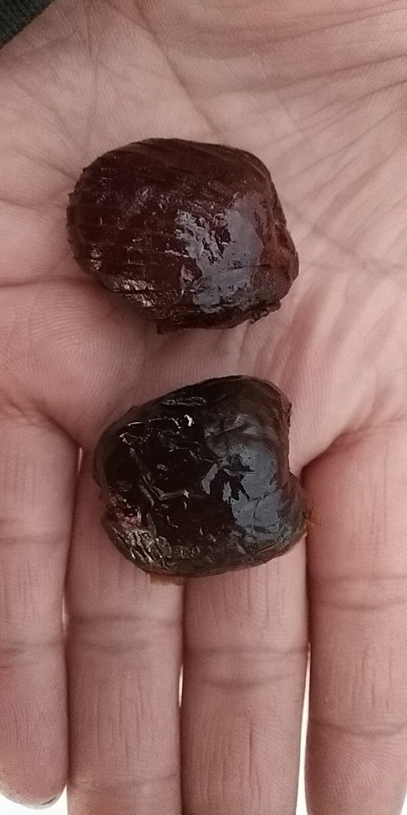 乐陵水晶蜜枣阿胶蜜枣以质论价量大优惠